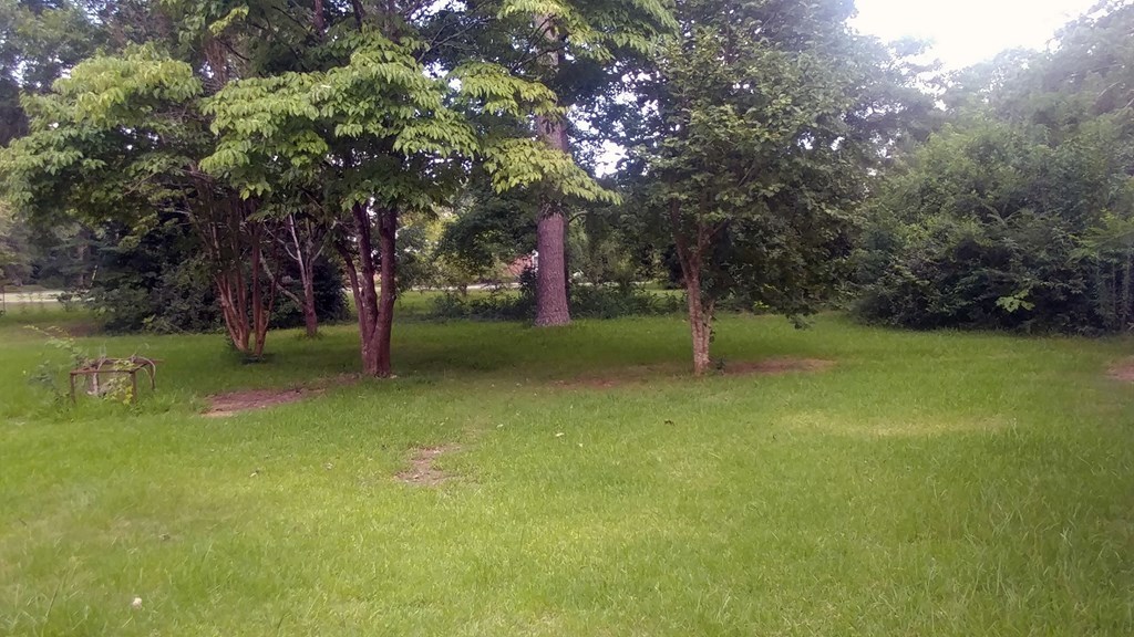 1348 Main Street Perry, GA 31069 - Photo 20 of 20 a view of a park with large trees