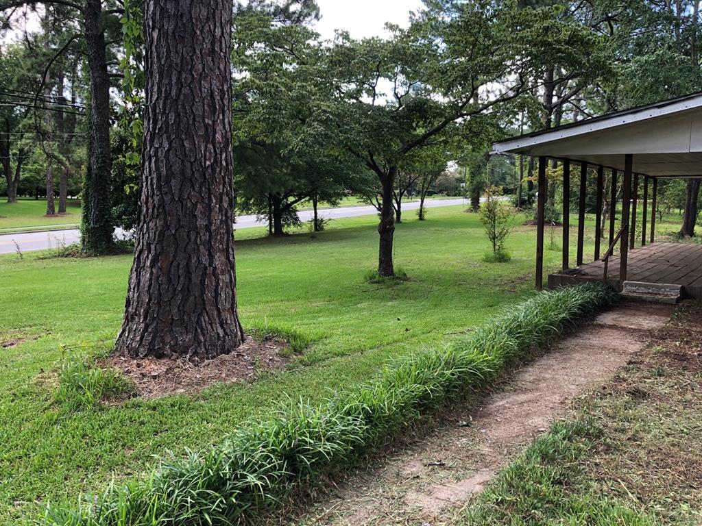 1348 Main Street Perry, GA 31069 - Photo 3 of 20 a view of a garden with a tree