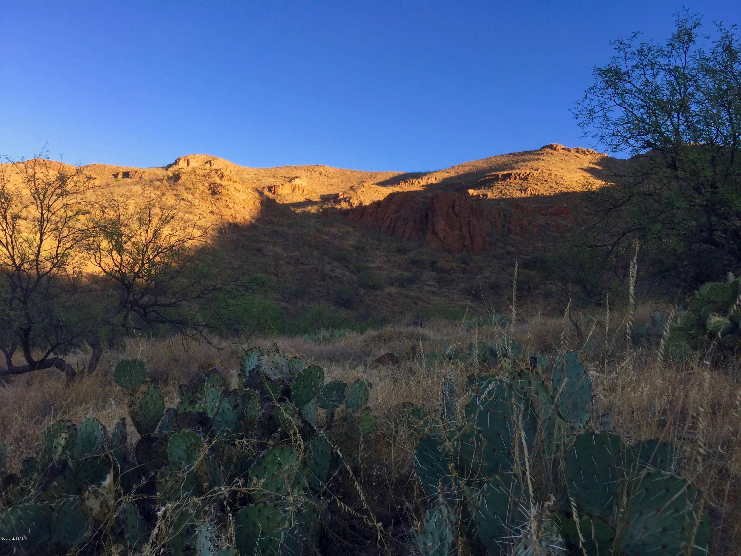 96 Salida Springs Way, Unit 123 Rio Rico, AZ 85648 - Photo 3 of 12