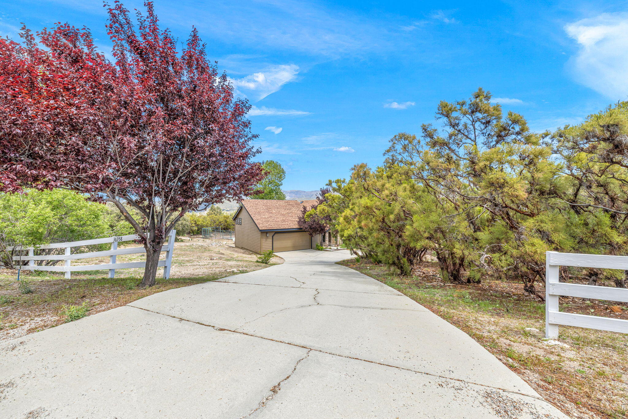 36958 Goldshot Creek Road Mountain Center, CA 92561 - Photo 60 of 70 63-web-or-mls-2H8A8723