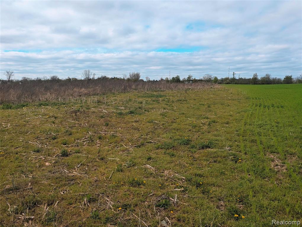 Parcel E Hogan Road Linden, MI 48451 - Photo 22 of 22