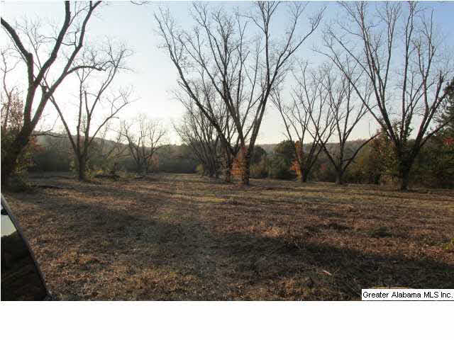 392 4 Mile Church Road, Unit 40 AC Anniston, AL 36206 - Photo 8 of 12