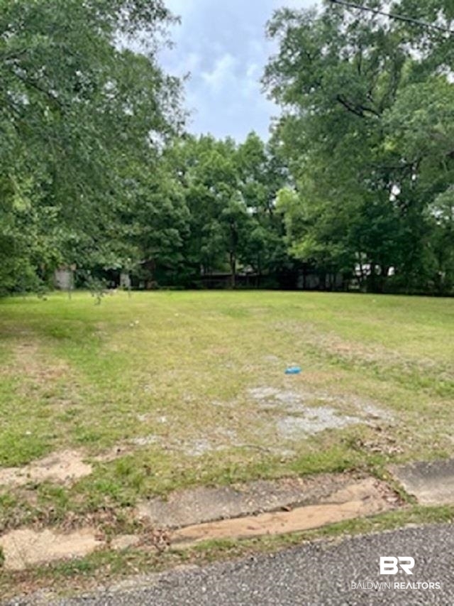 1608 Gilda Circle Mobile, AL 36618 - Photo 3 of 3