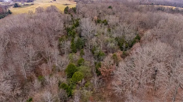 $884,000 | 0 Waterloo Road, Westpoint, TN 38486