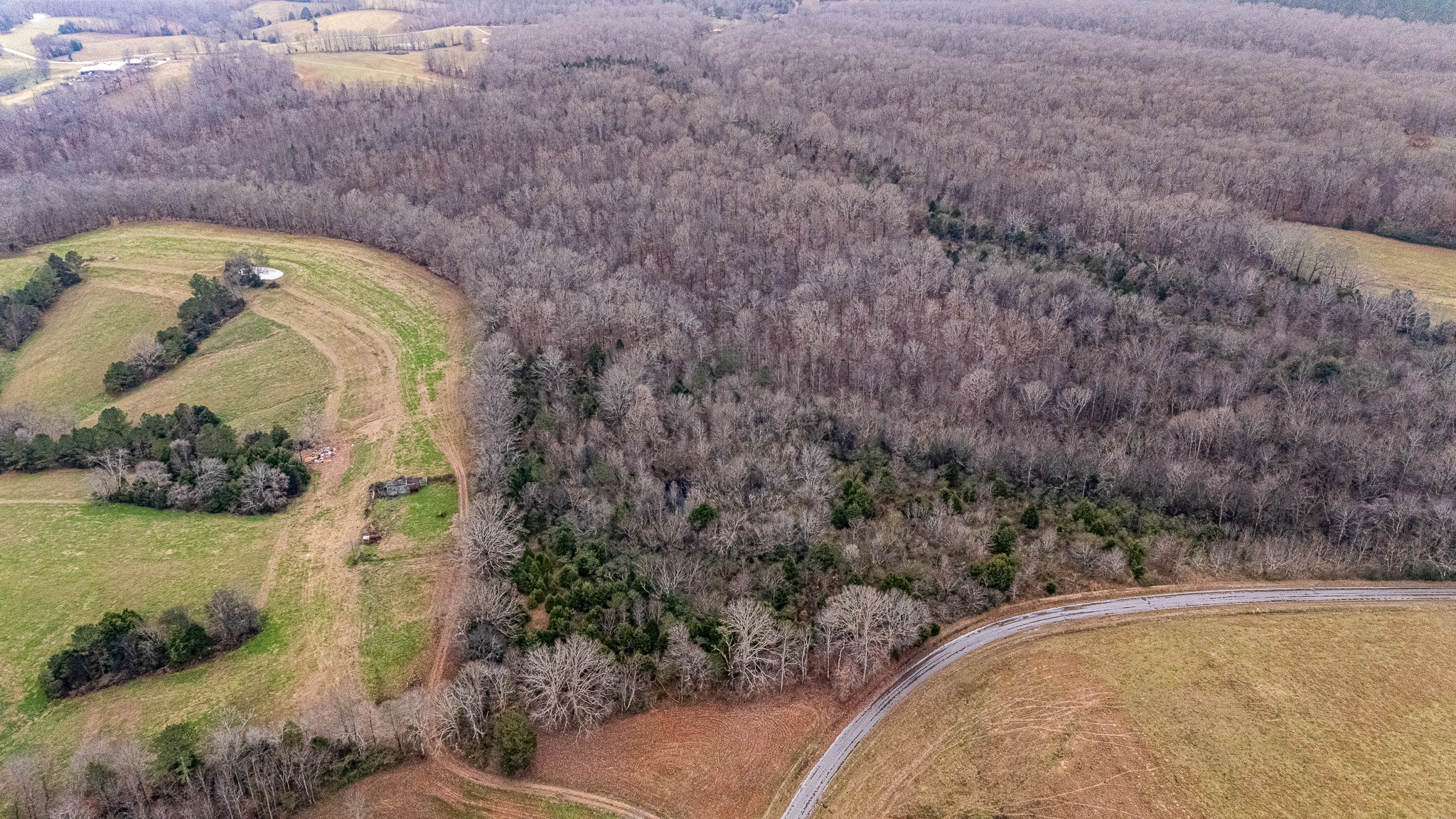 0 Waterloo Road Westpoint, TN 38486 - Photo 18 of 29