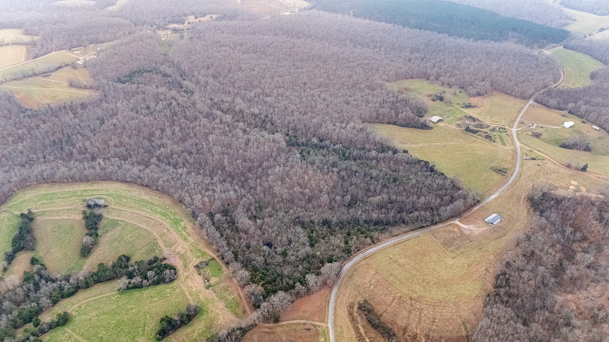 0 Waterloo Road Westpoint, TN 38486 - Photo 19 of 29