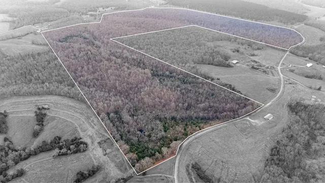 a backyard of a house with large trees