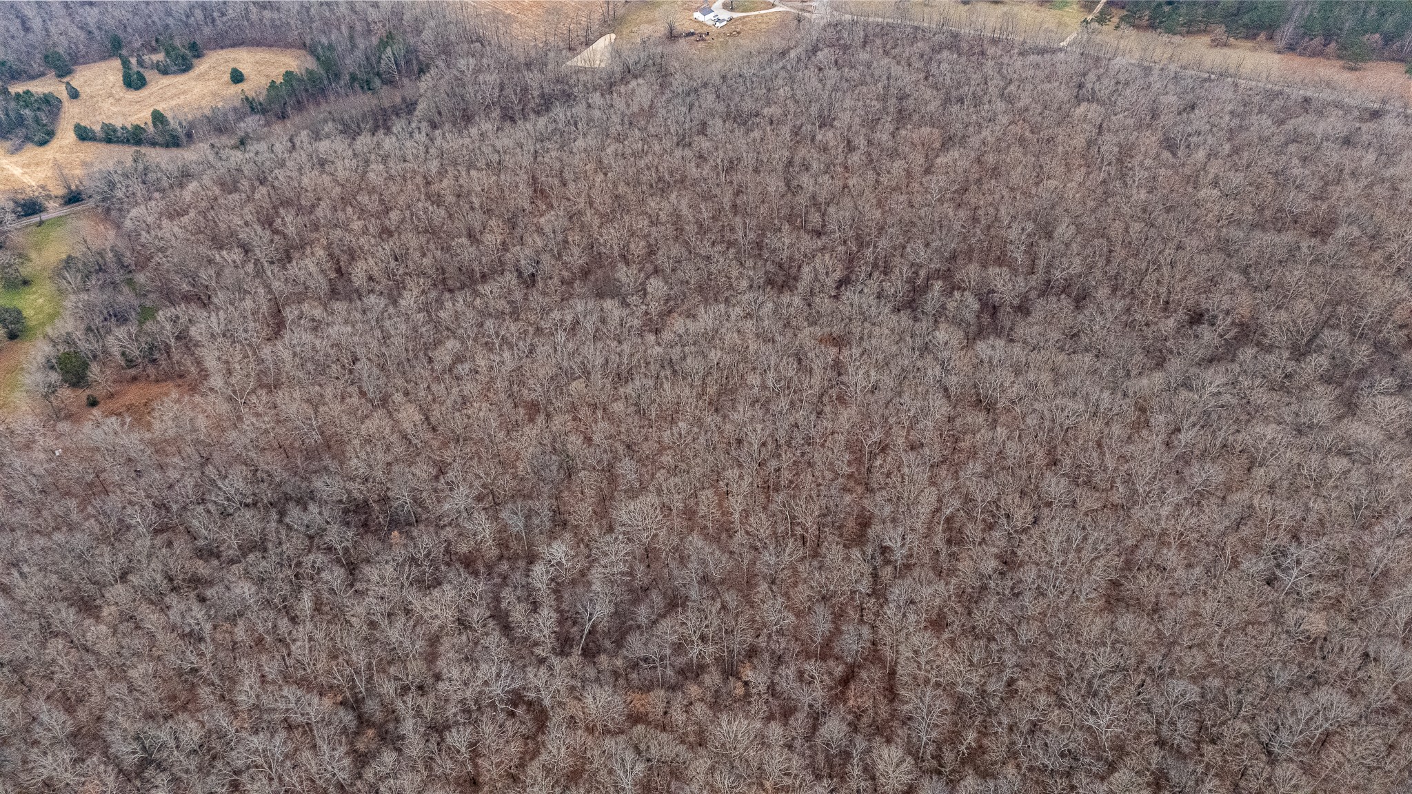 0 Waterloo Road Westpoint, TN 38486 - Photo 21 of 27 a close up of a wall