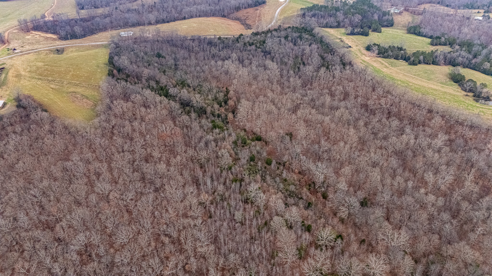 0 Waterloo Road Westpoint, TN 38486 - Photo 22 of 27 a view of a dry yard with trees