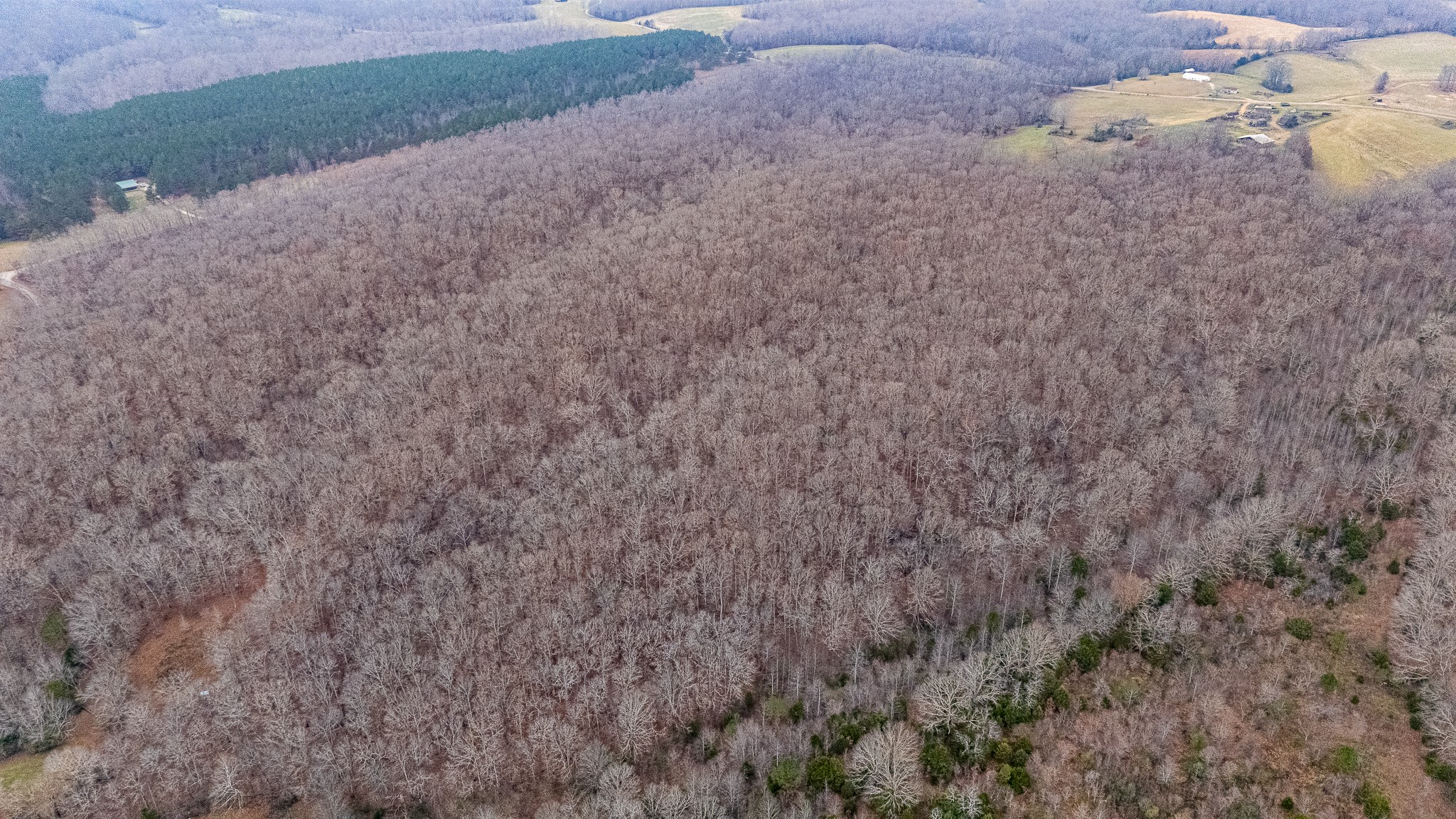 0 Waterloo Road Westpoint, TN 38486 - Photo 23 of 27 a close up of a wall