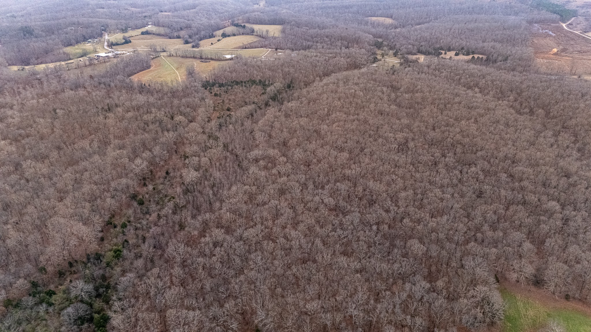 0 Waterloo Road Westpoint, TN 38486 - Photo 23 of 29