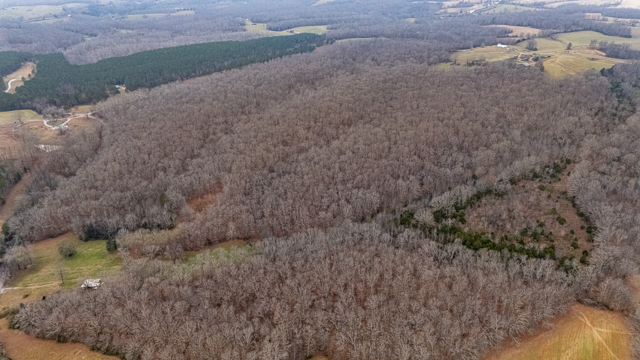 0 Waterloo Road Westpoint, TN 38486 - Photo 25 of 27 a view of a dry yard with trees