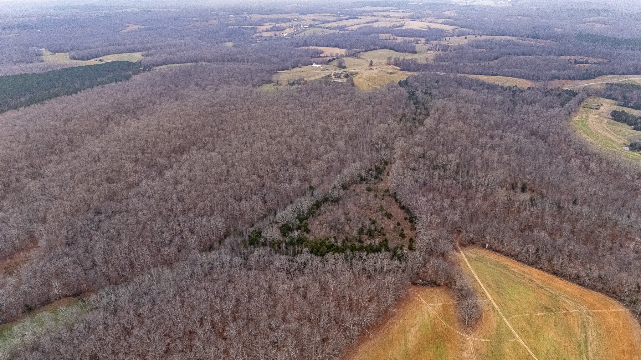 0 Waterloo Road Westpoint, TN 38486 - Photo 26 of 27 a view of a dry yard with wooden fence