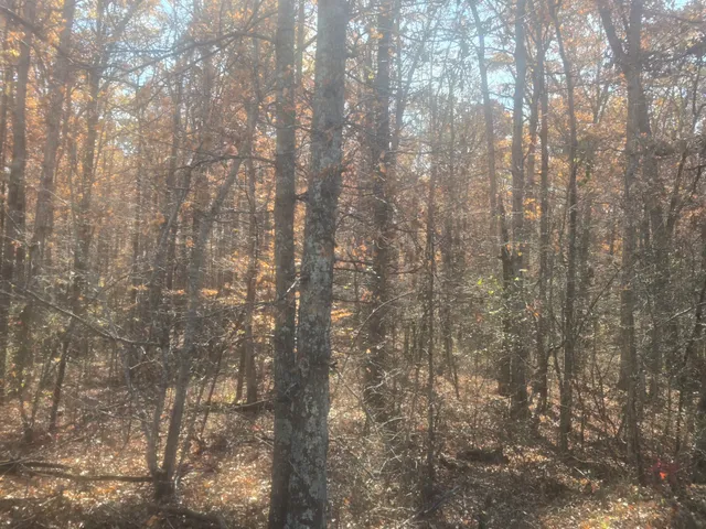 a bathroom with a shower and a shower head