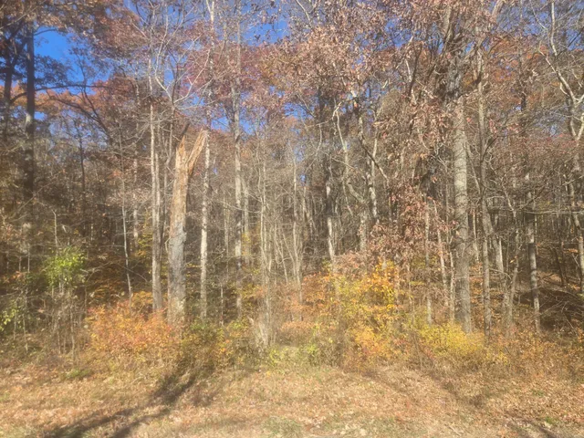 a view of barbecue area