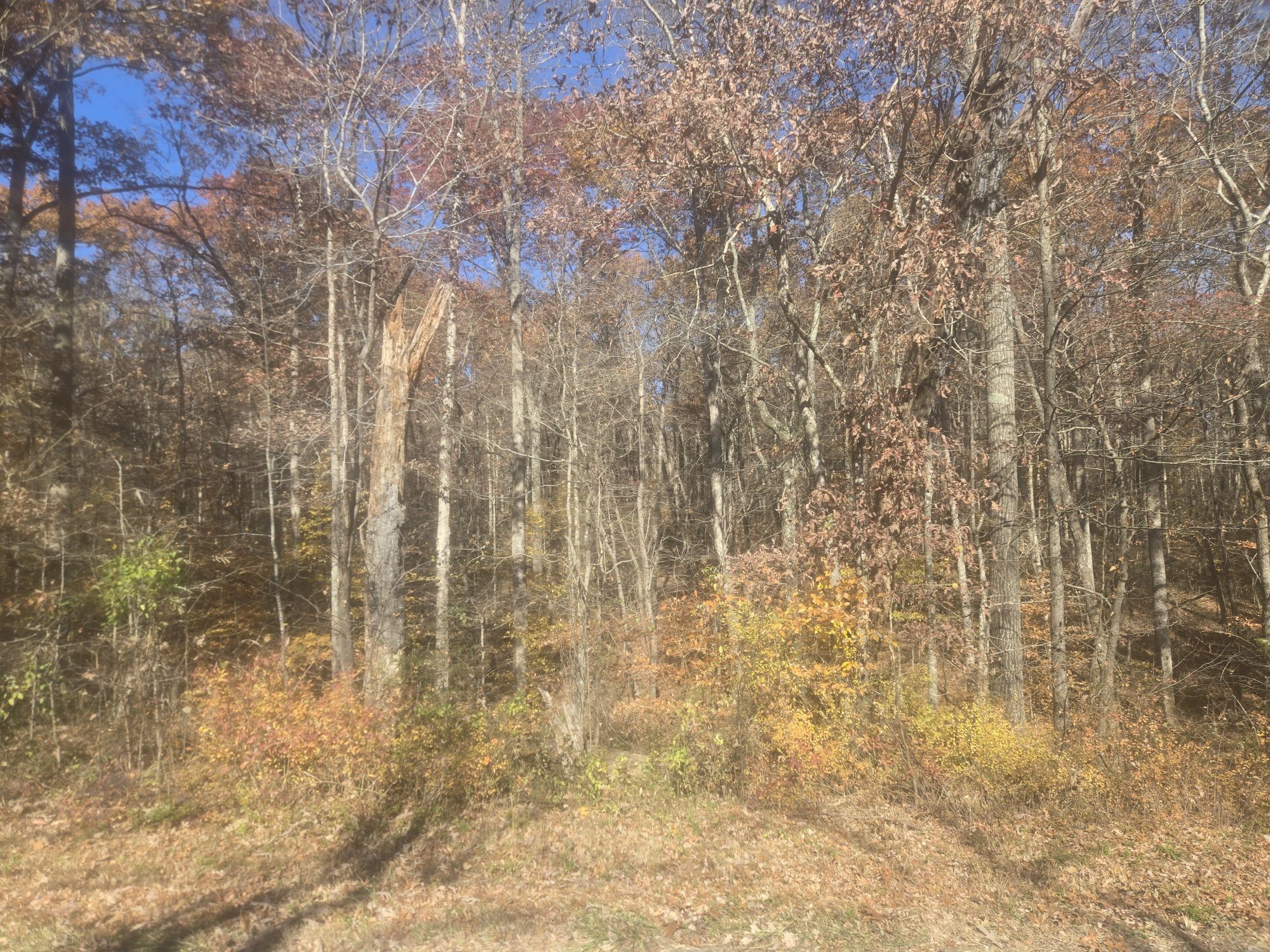 0 Waterloo Road Westpoint, TN 38486 - Photo 5 of 29