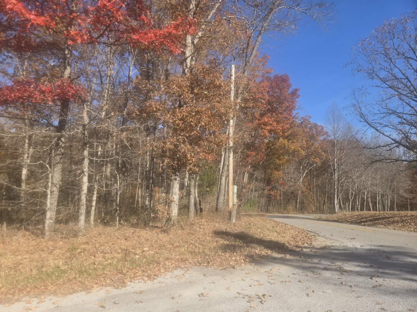 0 Waterloo Road Westpoint, TN 38486 - Photo 5 of 27 a backyard of a house with large trees