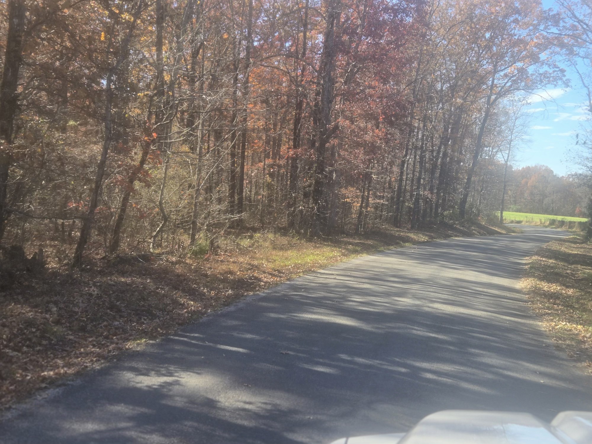 0 Waterloo Road Westpoint, TN 38486 - Photo 6 of 27 a view of a yard with large trees