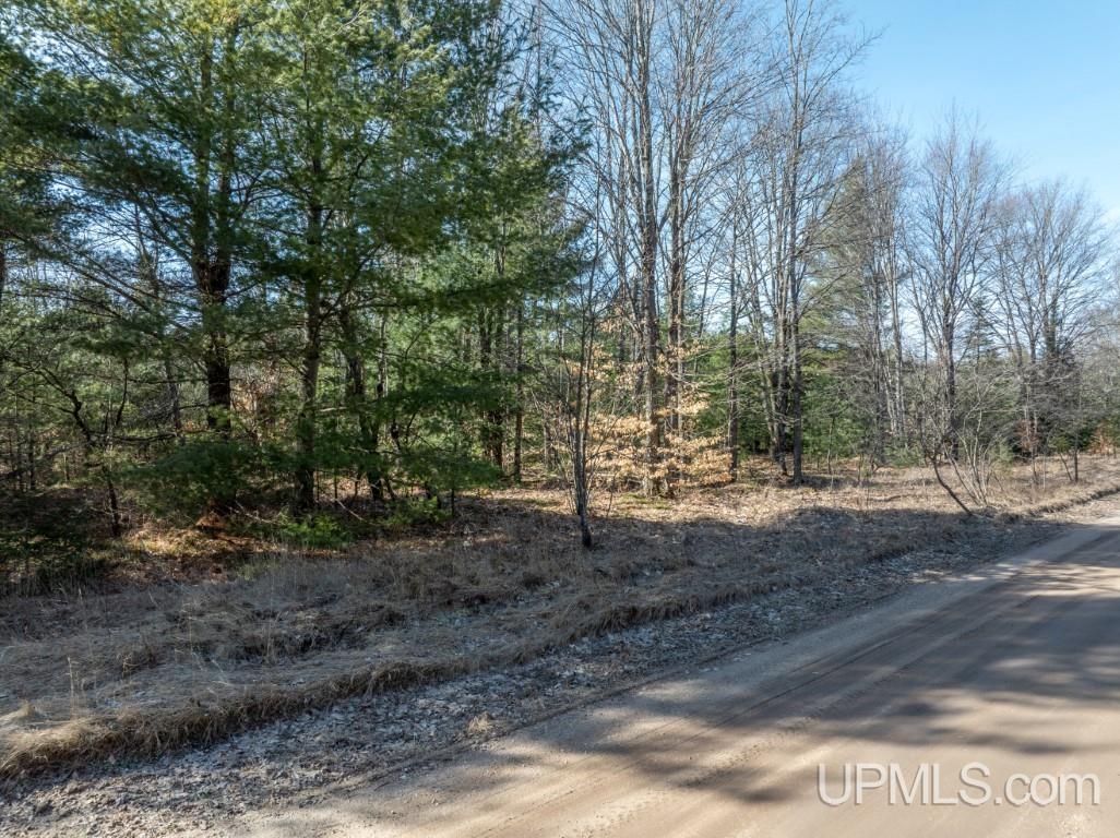 Tbd Dd Road Wetmore, MI 49895 - Photo 21 of 22