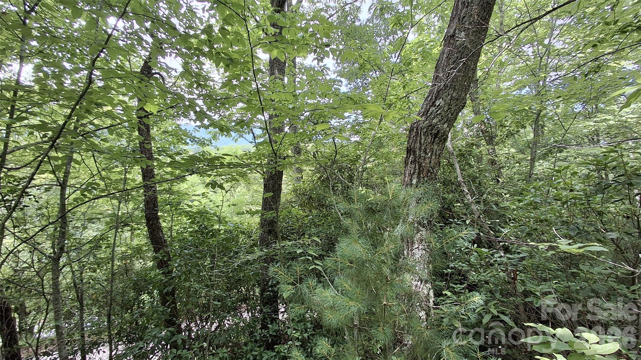 77 Kako Ridge, Unit 57 Sylva, NC 28779 - Photo 15 of 19