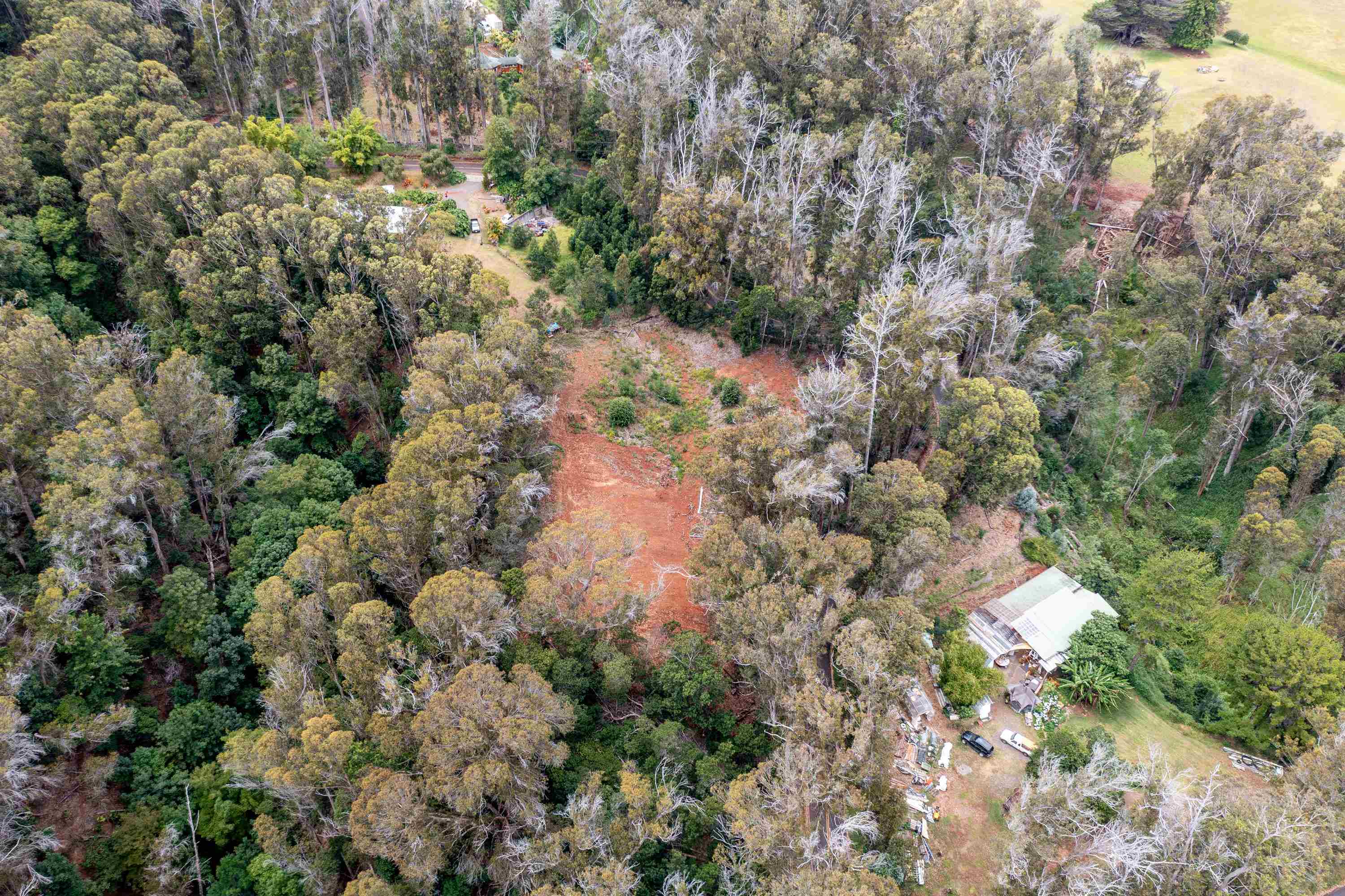 1939 B Piiholo Road, Unit B Makawao, HI 96768 - Photo 18 of 37 a view of a house with a lush green forest