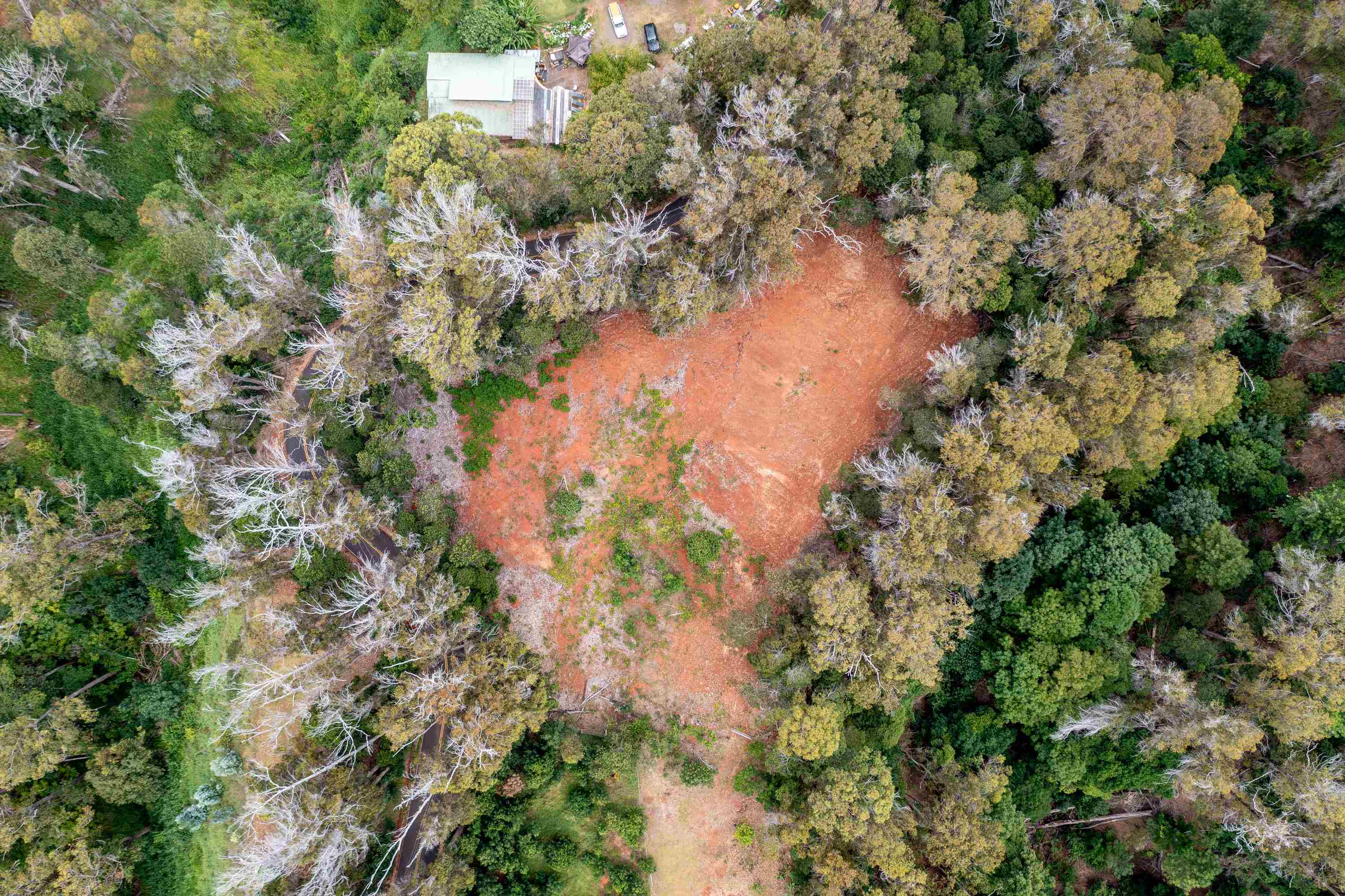 1939 B Piiholo Road, Unit B Makawao, HI 96768 - Photo 20 of 37 a view of a yard