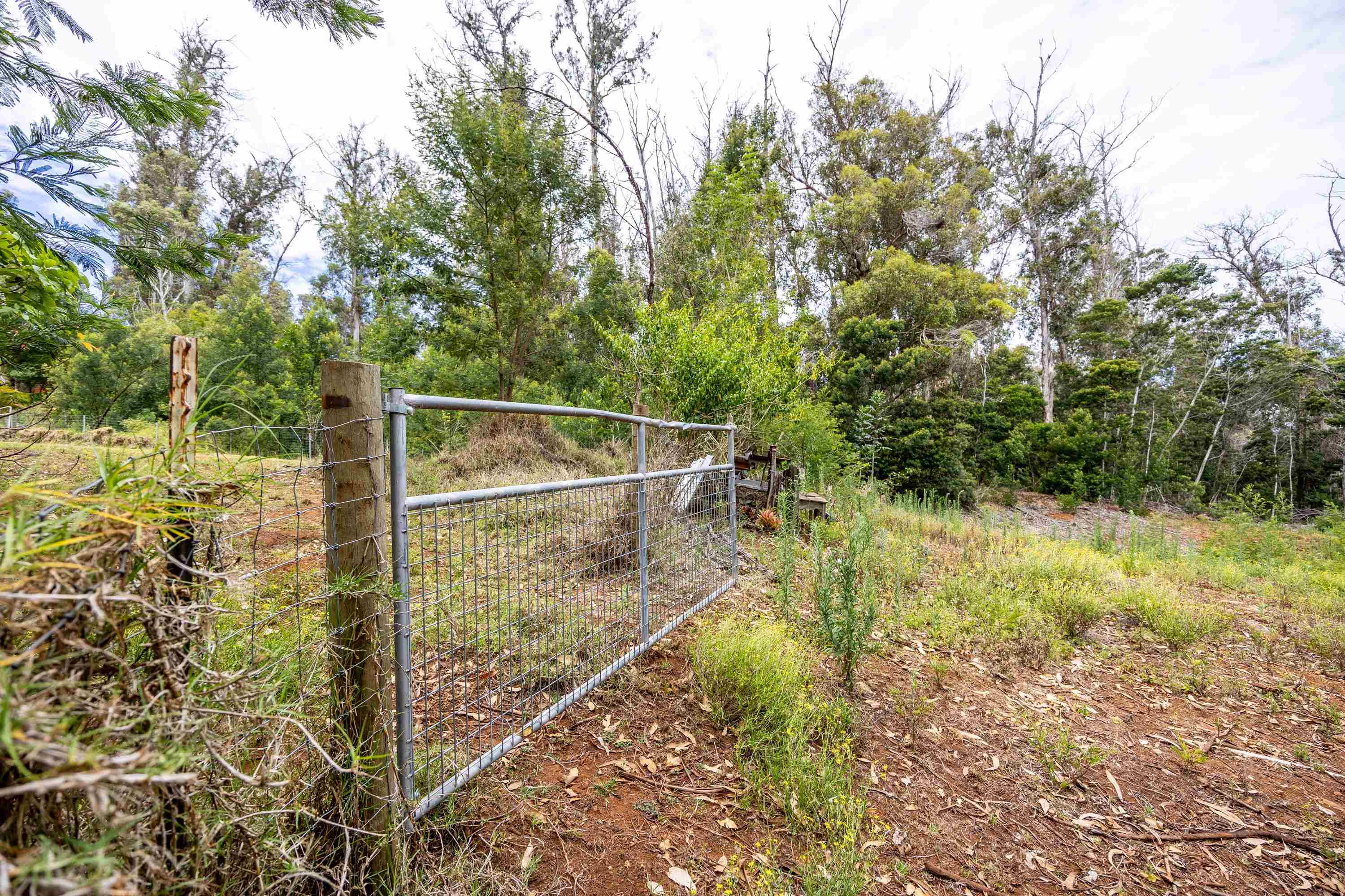 1939 B Piiholo Road, Unit B Makawao, HI 96768 - Photo 2 of 37 a view of a yard