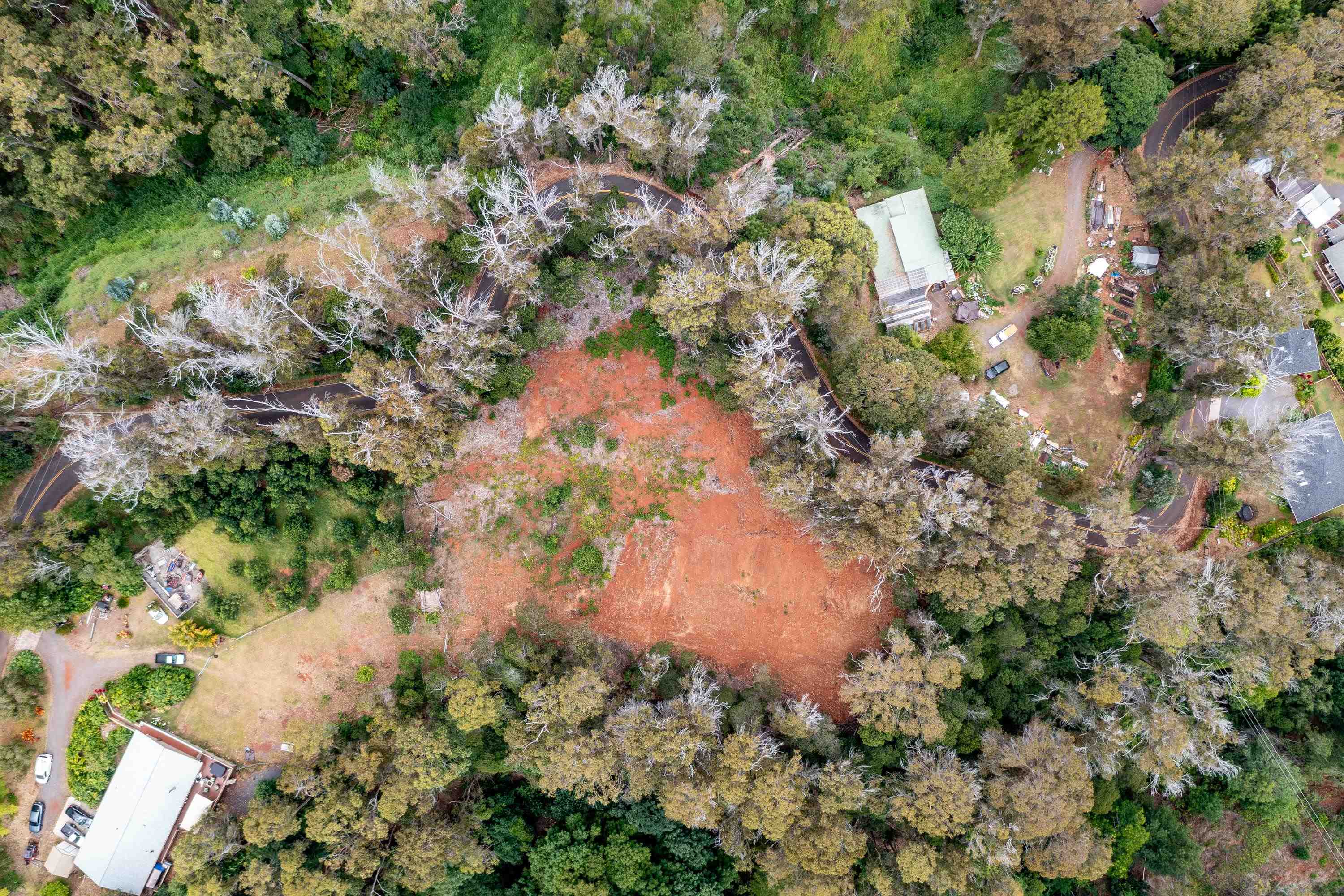 1939 B Piiholo Road, Unit B Makawao, HI 96768 - Photo 22 of 37 a view of flowers in a garden