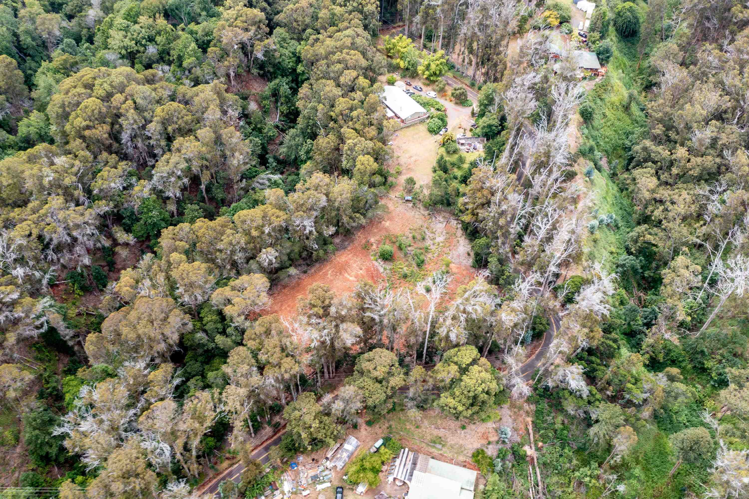 1939 B Piiholo Road, Unit B Makawao, HI 96768 - Photo 23 of 37 a view of a house with a tree