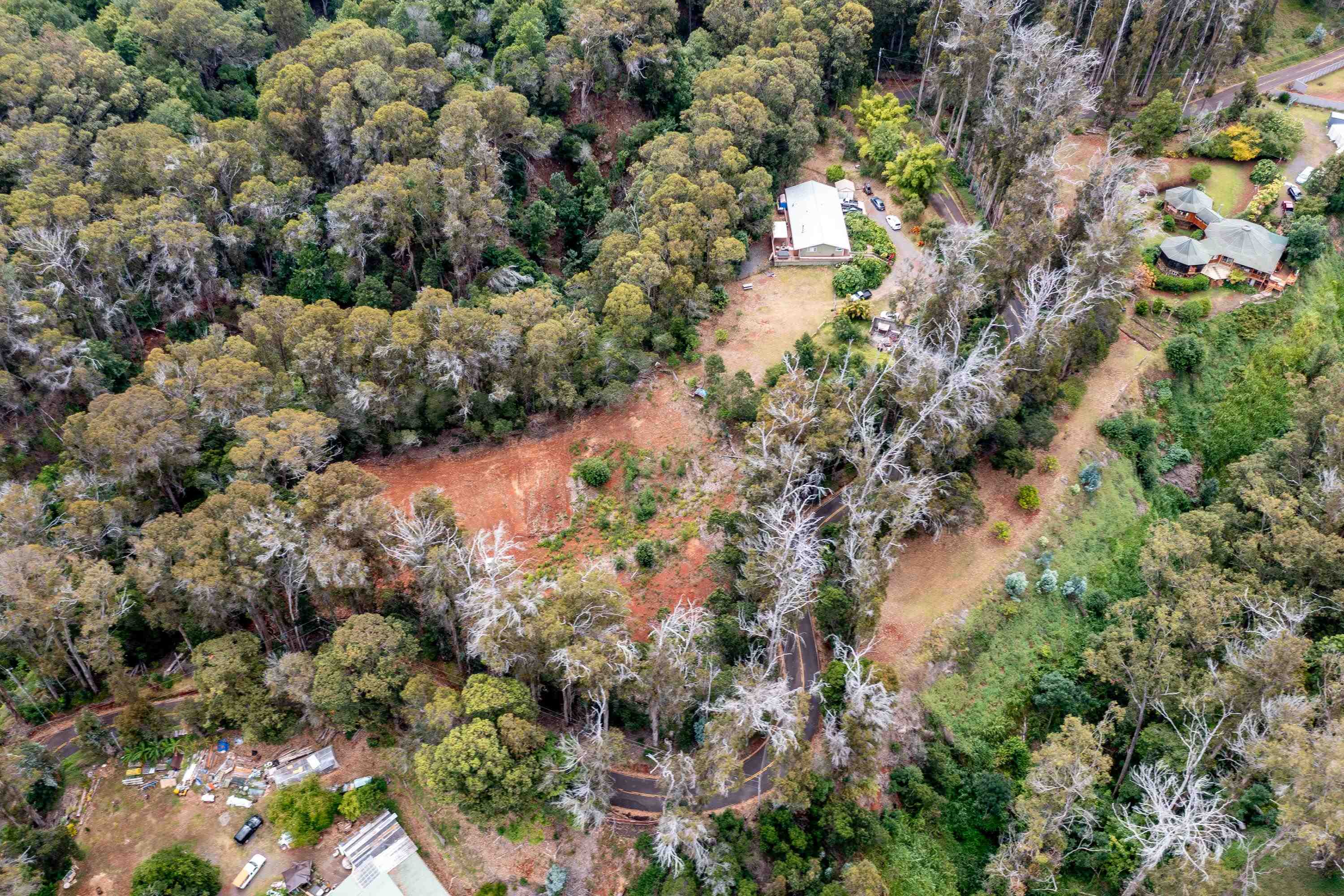 1939 B Piiholo Road, Unit B Makawao, HI 96768 - Photo 25 of 37 a view of a house with a tree