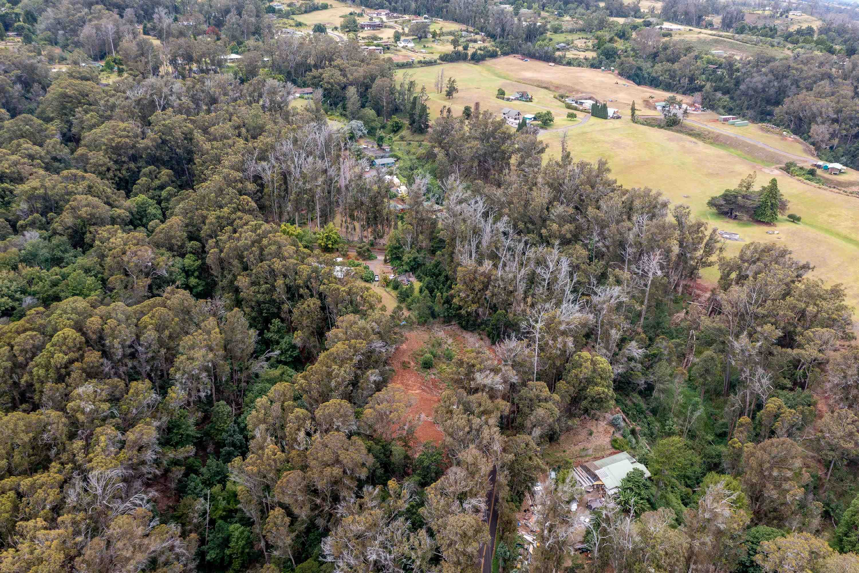1939 B Piiholo Road, Unit B Makawao, HI 96768 - Photo 27 of 37 a view of a lake with trees in background