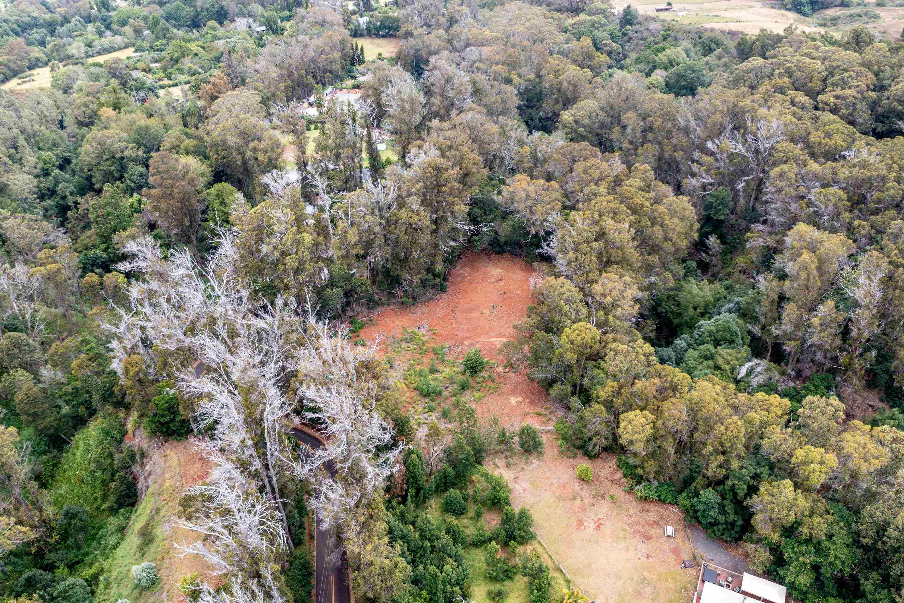 1939 B Piiholo Road, Unit B Makawao, HI 96768 - Photo 28 of 37 an aerial view of a houses with yard