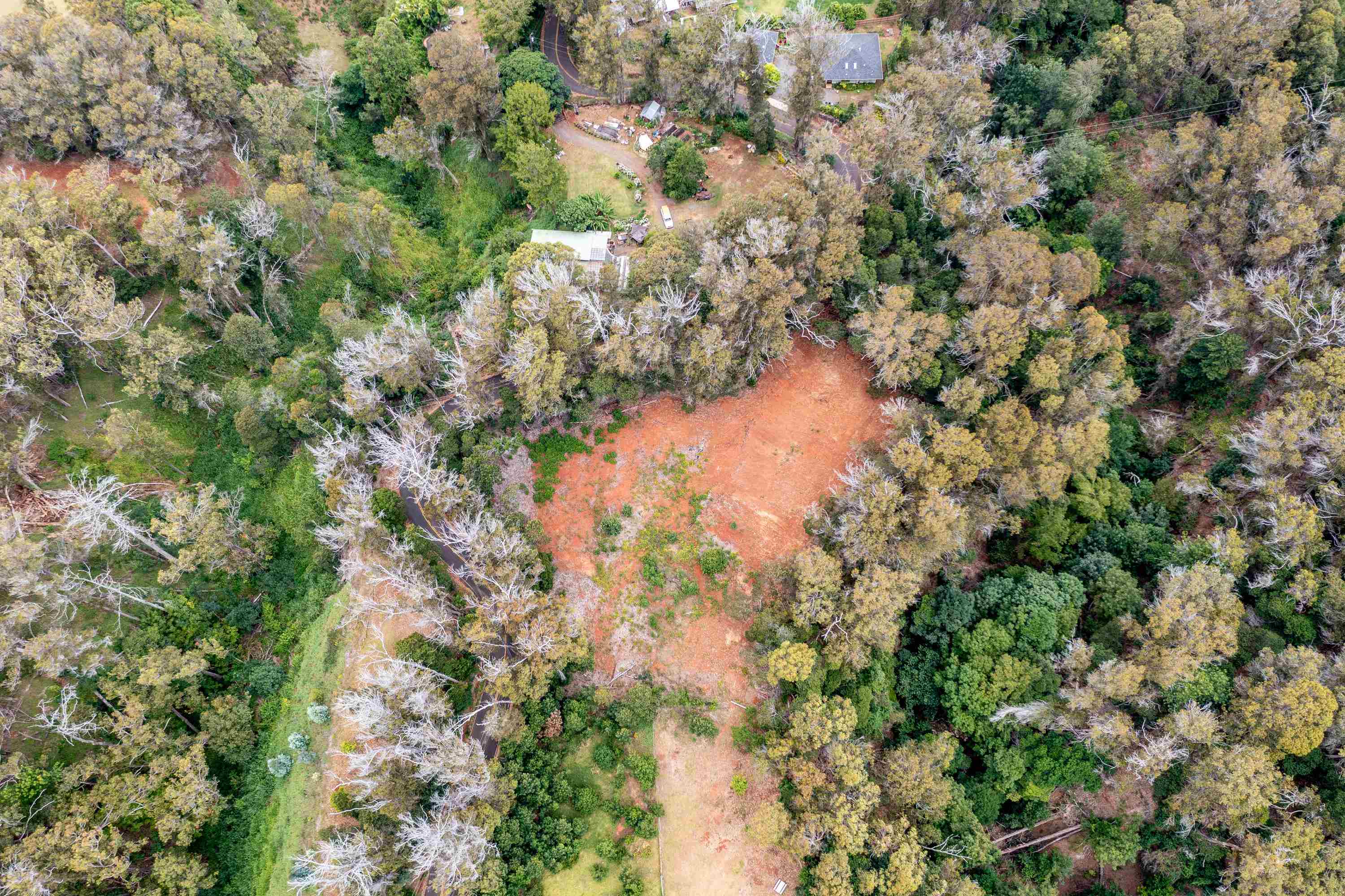 1939 B Piiholo Road, Unit B Makawao, HI 96768 - Photo 30 of 37 a view of a house with a lush green forest