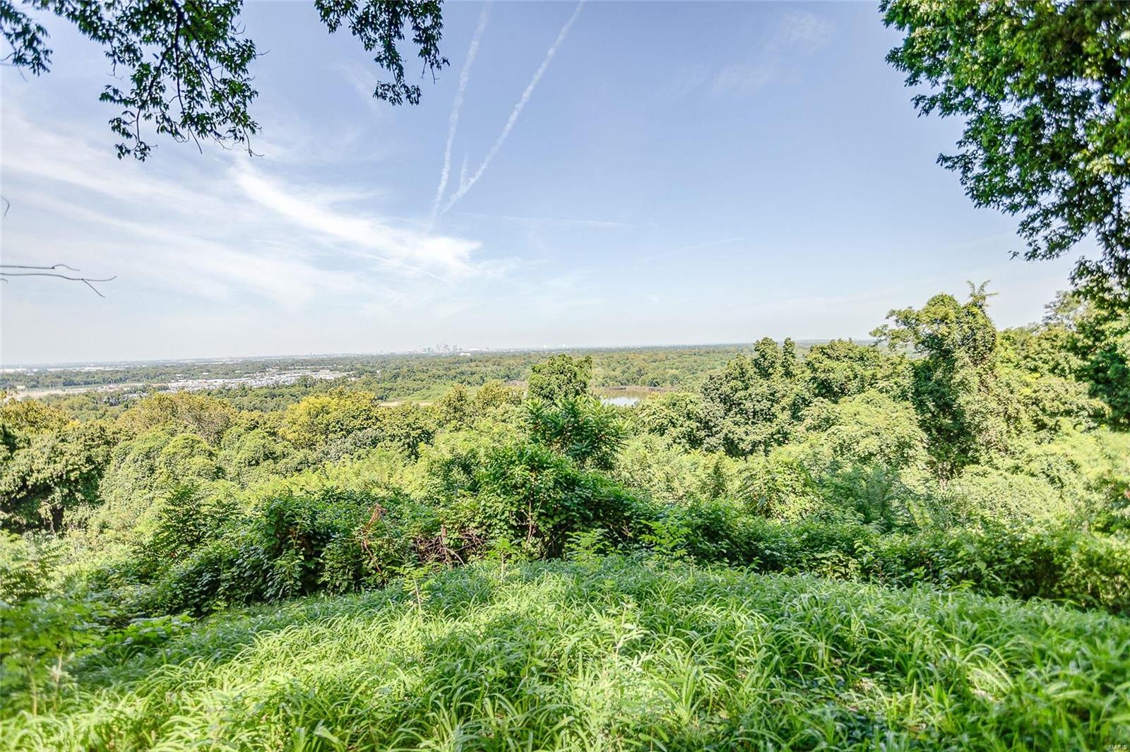 889 Briar Hill Road Belleville, IL 62223 - Photo 54 of 60