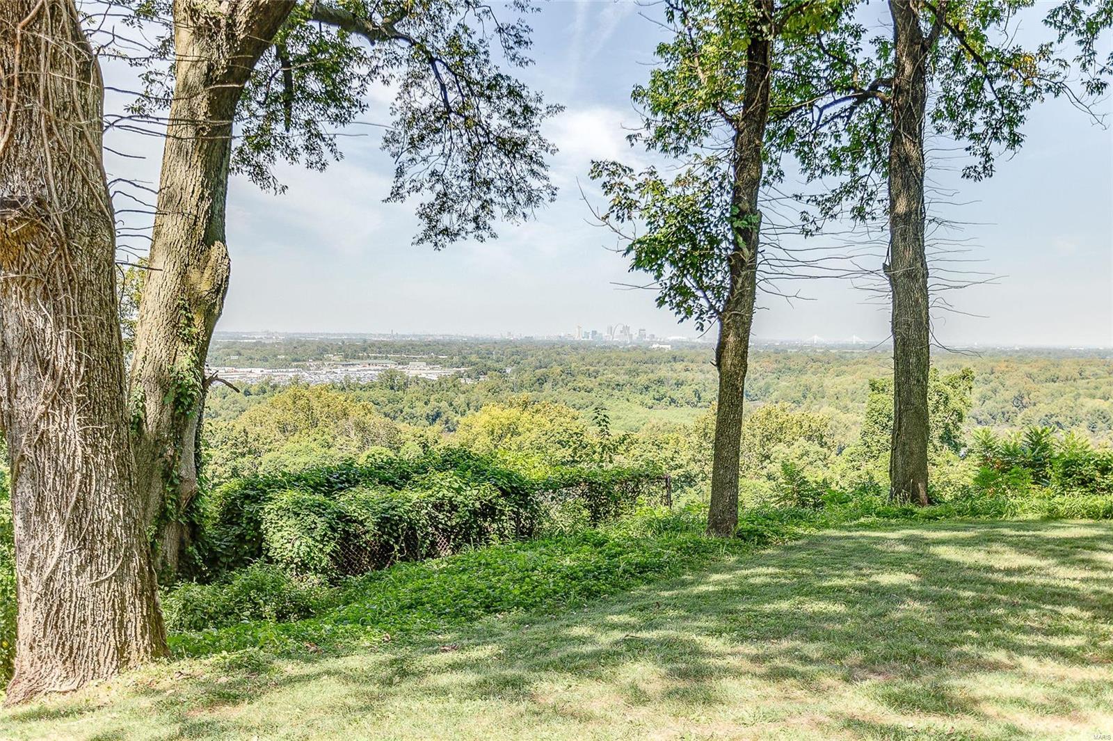 889 Briar Hill Road Belleville, IL 62223 - Photo 7 of 60