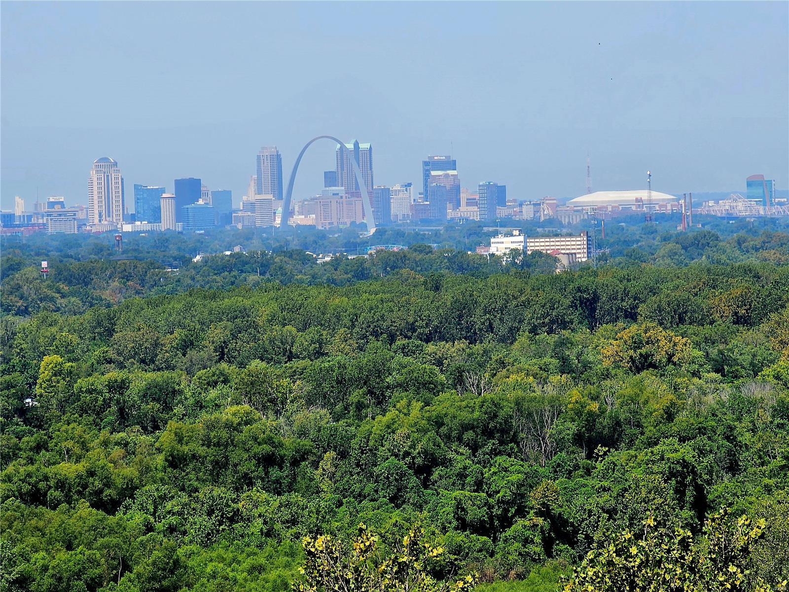 889 Briar Hill Road Belleville, IL 62223 - Photo 8 of 60