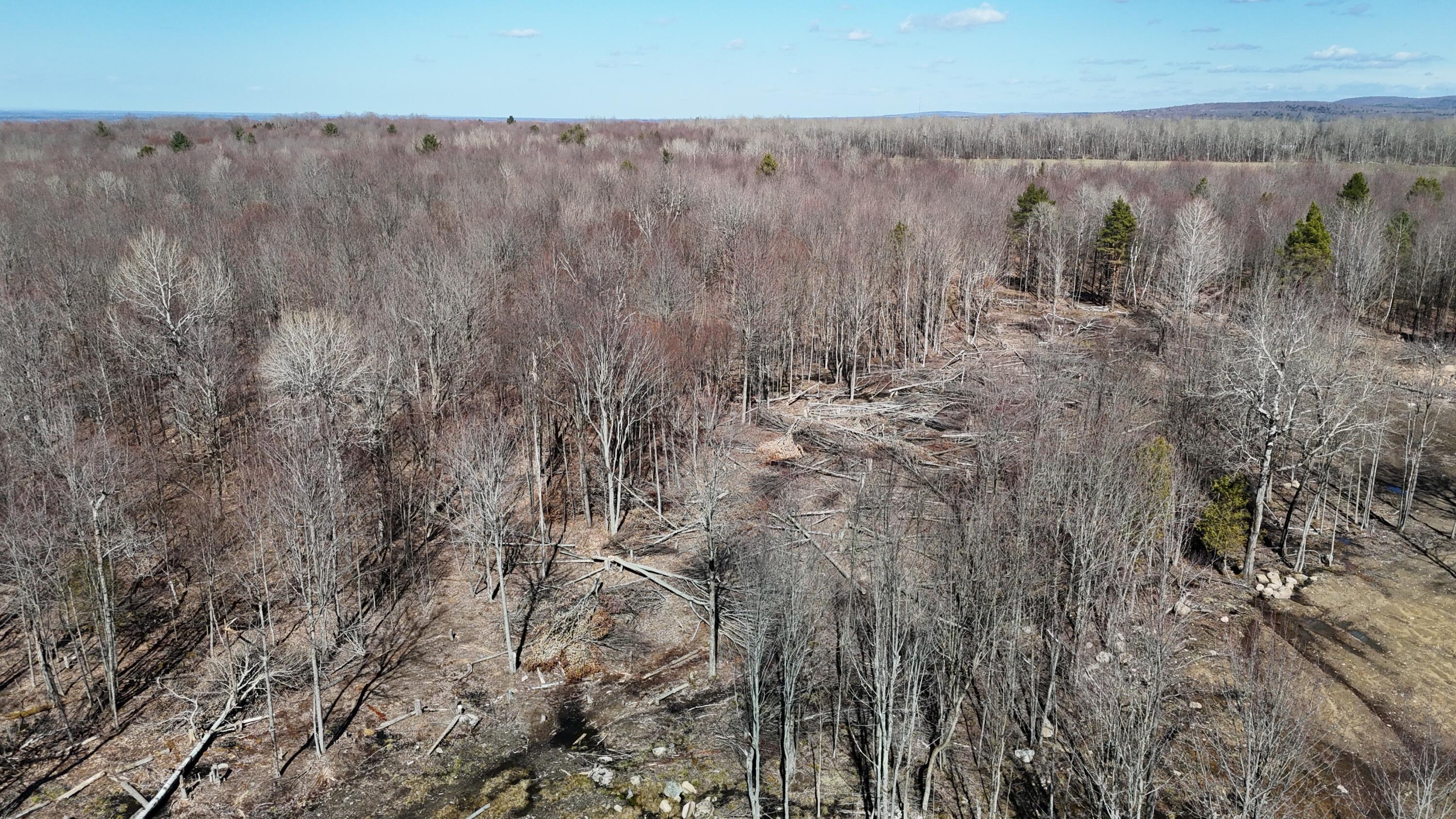 56 Snell Road Dickinson Center, NY 12930 - Photo 8 of 16 Gallery Image 8