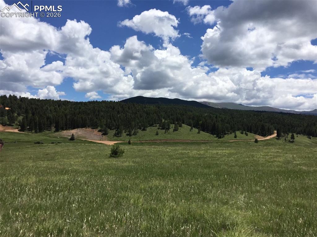 4600 Elk Valley Road Divide, CO 80814 - Photo 3 of 14 a view of an outdoor space with yard