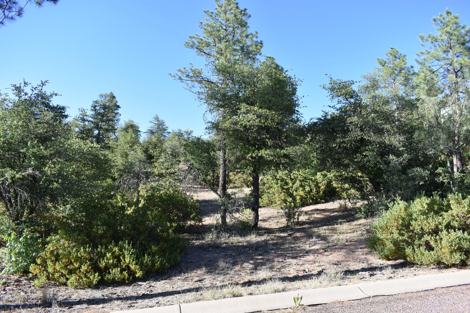 Lot 19 East Pine Ridge Drive Payson, AZ 85541 - Photo 3 of 7
