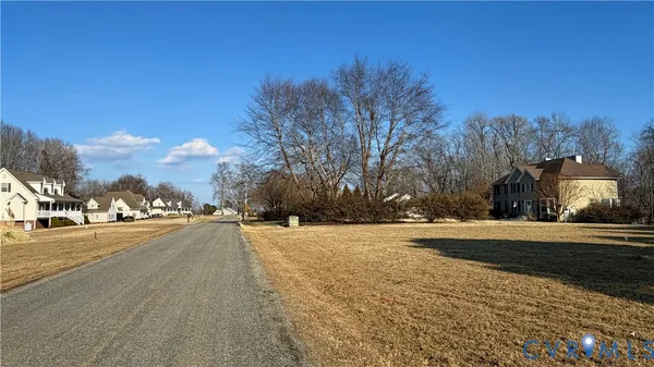 a view of a yard in a forest