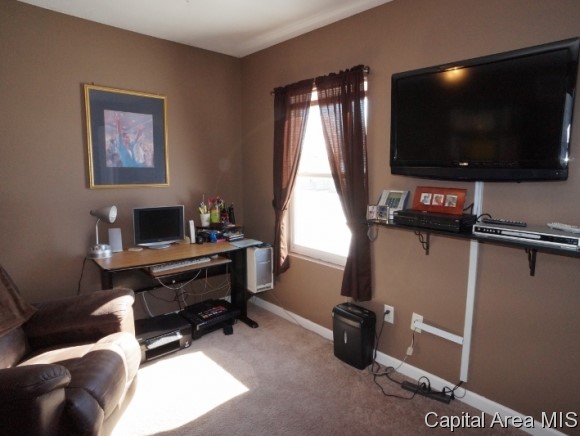 1505 East Edwards Street Springfield, IL 62703 - Photo 14 of 15