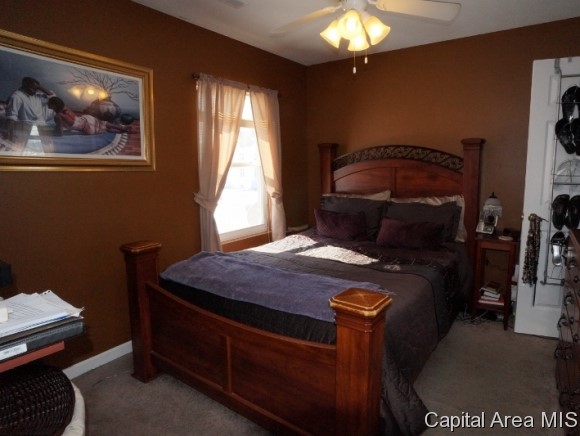 1505 East Edwards Street Springfield, IL 62703 - Photo 9 of 15
