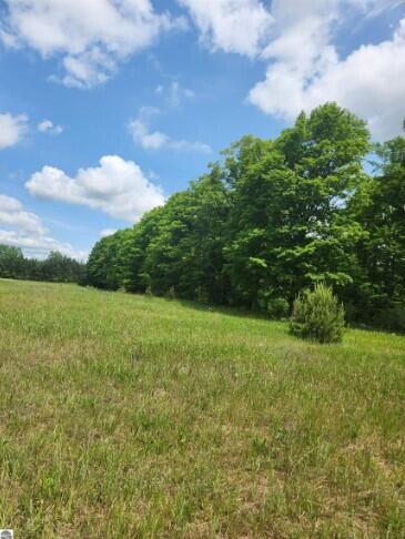 6205 County Road Lewiston, MI 49756 - Photo 7 of 14 Gallery Image 7