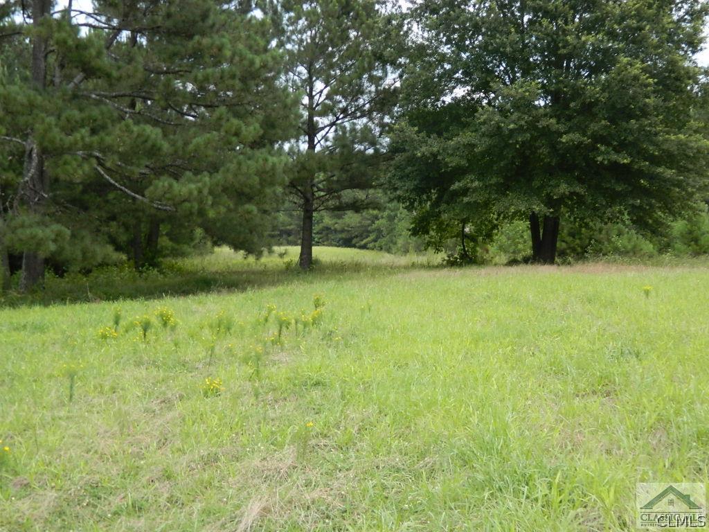 199 Young Road Rayle, GA 30660 - Photo 26 of 42 Gallery Image 26