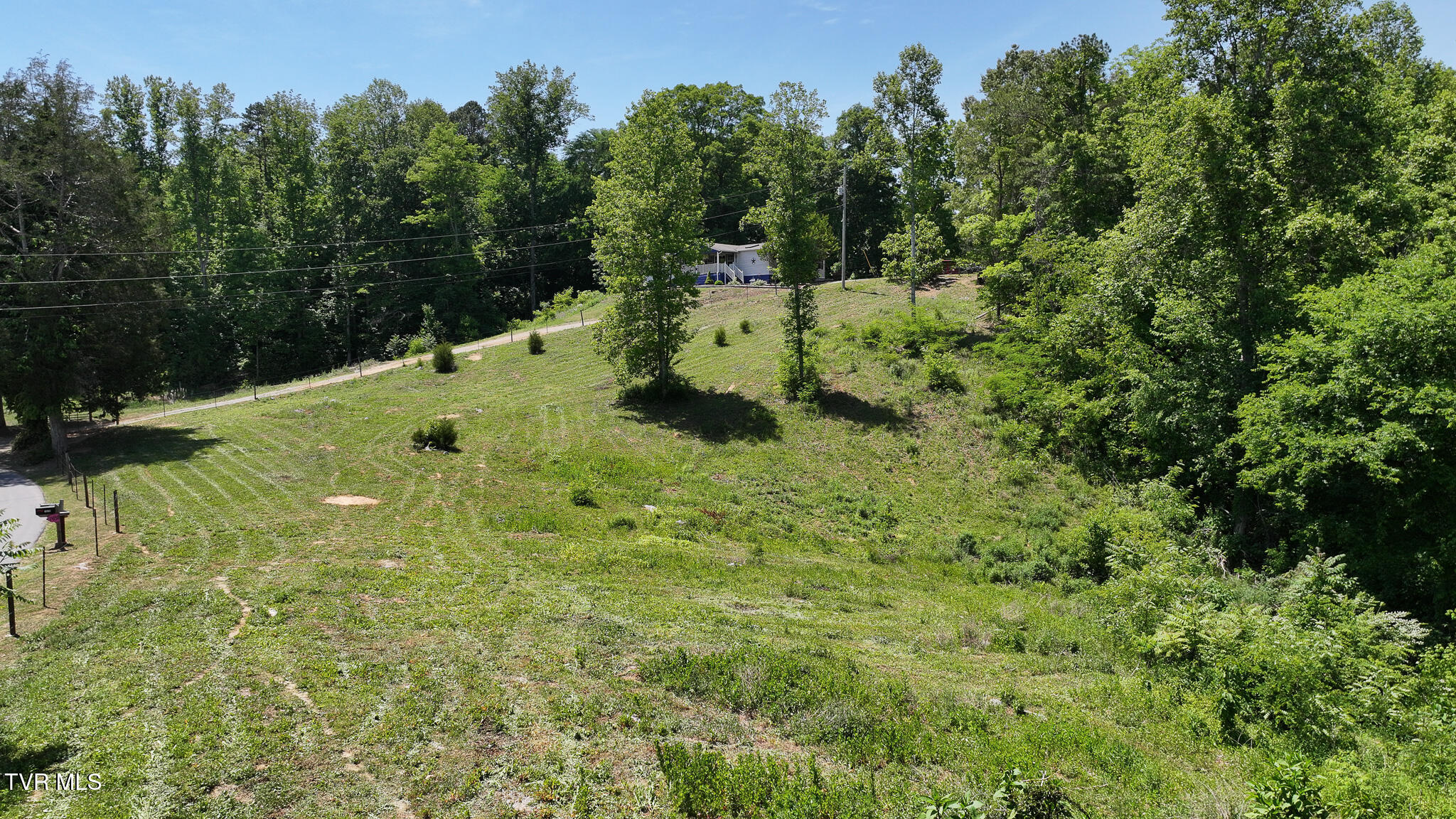1475 Davis Valley Road Afton, TN 37616 - Photo 51 of 67 51
