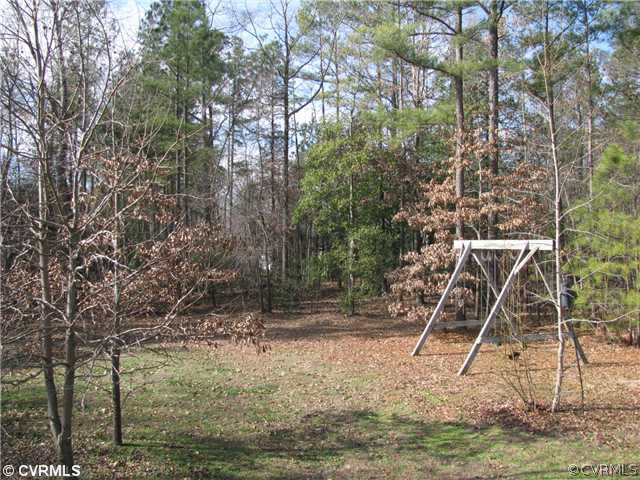 13818 Bluff Ridge Drive Chesterfield, VA 23838 - Photo 12 of 12 Yard/Garden - A private back yard! This home has i