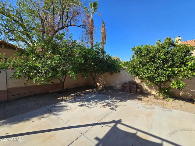 a view of a yard with an tree