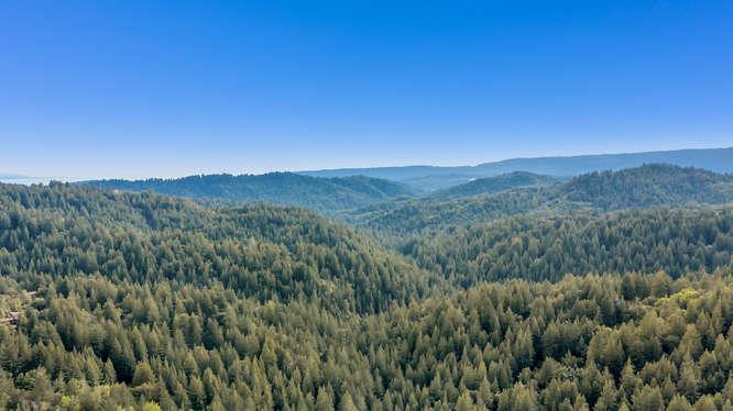 16900 Old Ranch Road Los Gatos, CA 95033 - Photo 25 of 34 Gallery Image 25