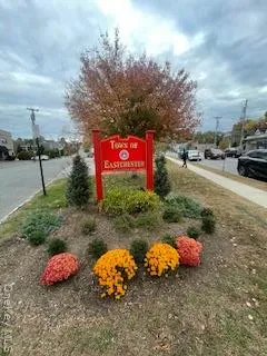 a street view with couple of cars parked
