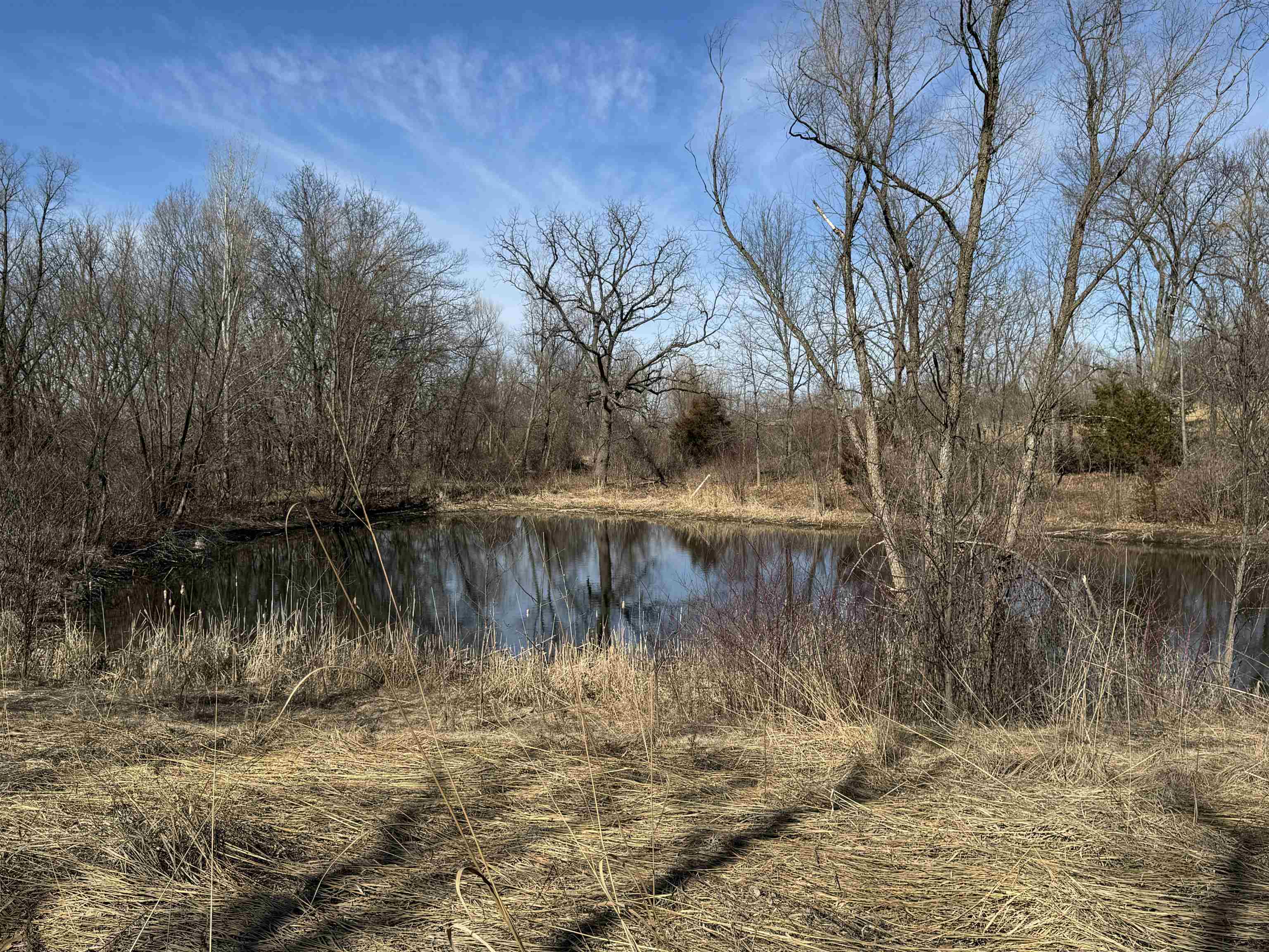 4989 North Ford Road Scales Mound, IL 61075 - Photo 47 of 93